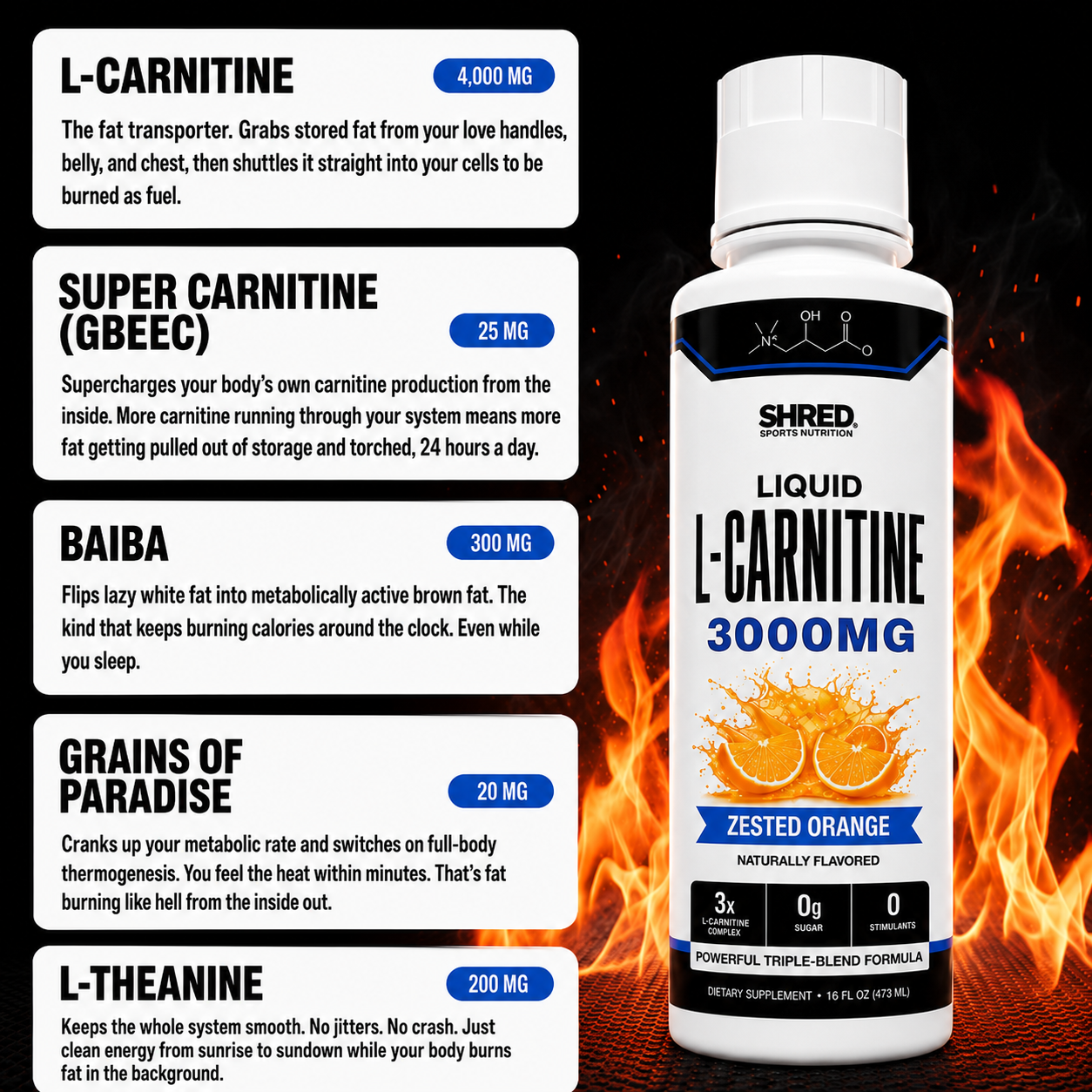 Shred Liquid L-Carnitine