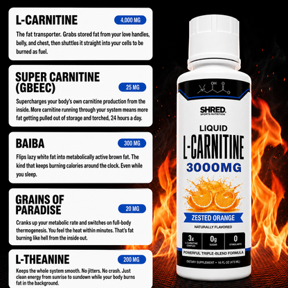 Shred Liquid L-Carnitine