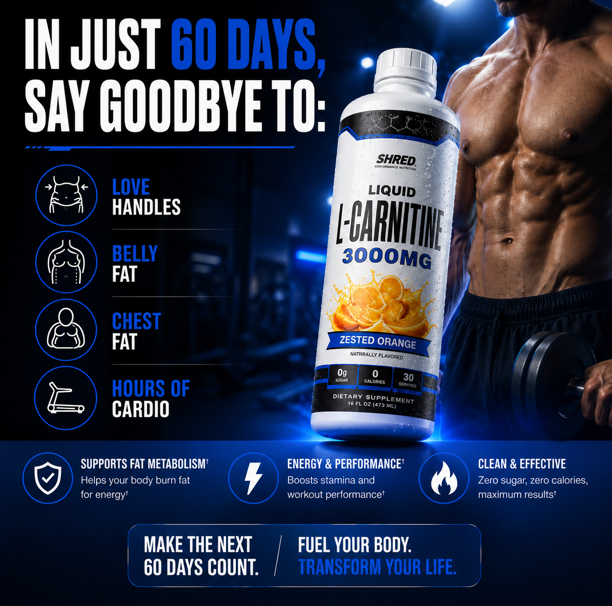 Shred Liquid L-Carnitine