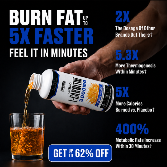 Shred Liquid L-Carnitine
